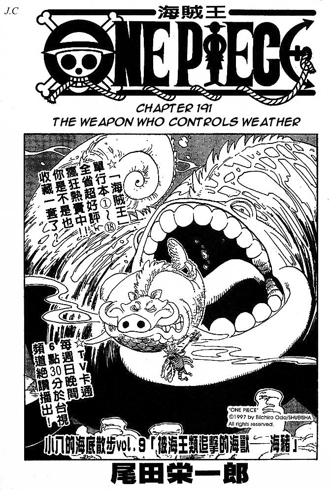 One Piece Chapter 191 19